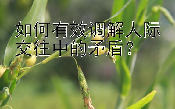 如何有效调解人际交往中的矛盾？