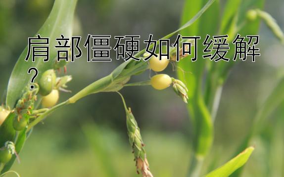 肩部僵硬如何缓解？