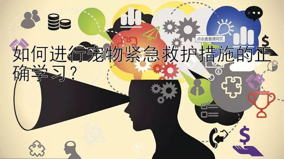 如何进行宠物紧急救护措施的正确学习？