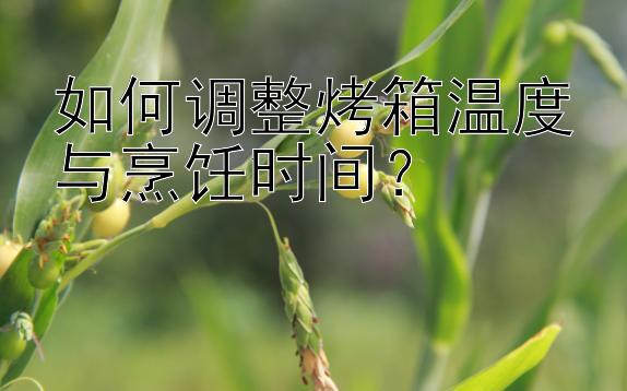 如何调整烤箱温度与烹饪时间？