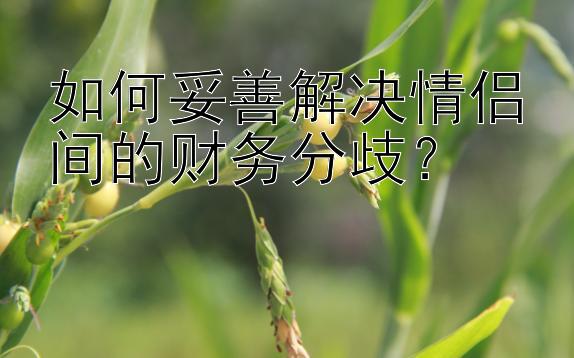 如何妥善解决情侣间的财务分歧？