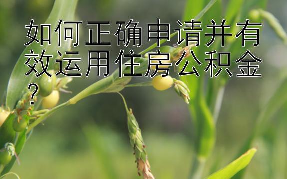 如何正确申请并有效运用住房公积金？