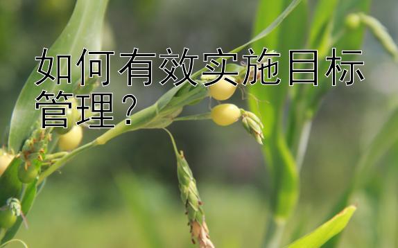 如何有效实施目标管理？