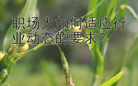 职场人如何适应行业动态的要求？