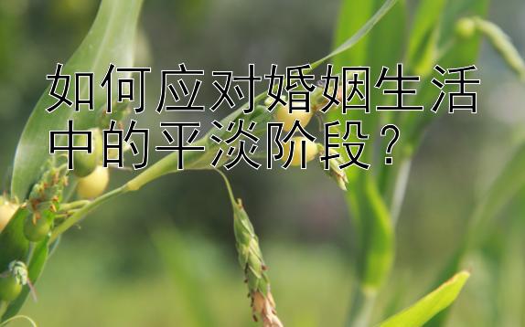 如何应对婚姻生活中的平淡阶段？