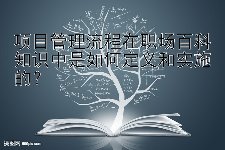 项目管理流程在职场百科知识中是如何定义和实施的？