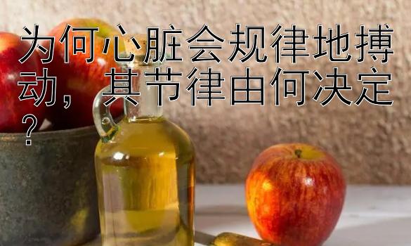 为何心脏会规律地搏动，其节律由何决定？