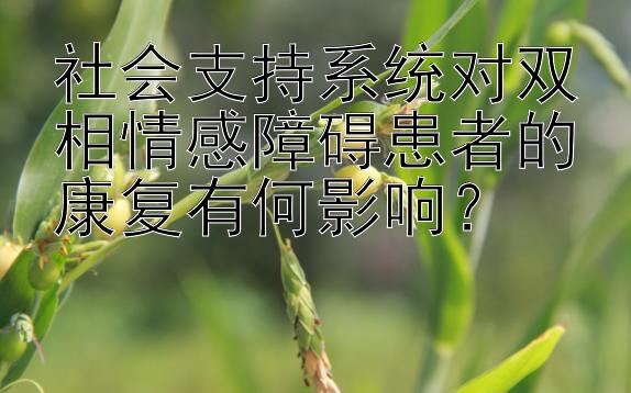 社会支持系统对双相情感障碍患者的康复有何影响？