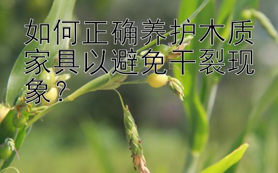 如何正确养护木质家具以避免干裂现象？