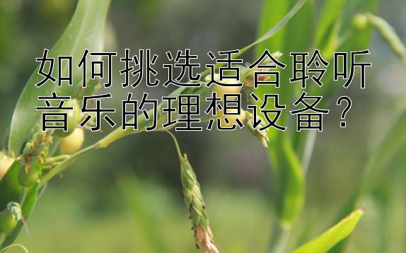 如何挑选适合聆听音乐的理想设备？