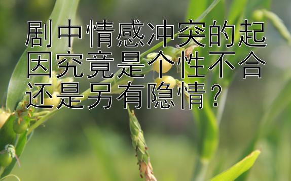 剧中情感冲突的起因究竟是个性不合还是另有隐情？