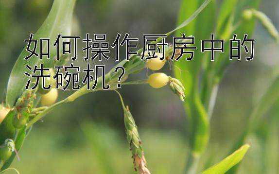 如何操作厨房中的洗碗机？