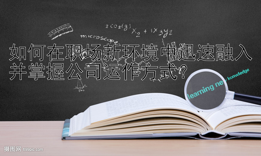 如何在职场新环境中迅速融入并掌握公司运作方式？