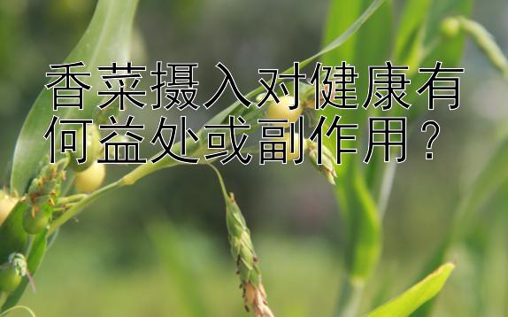 香菜摄入对健康有何益处或副作用？