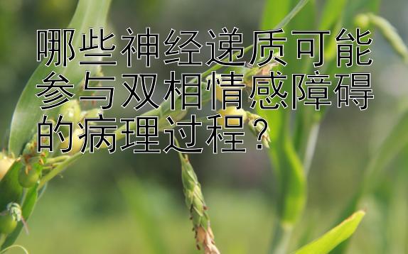 哪些神经递质可能参与双相情感障碍的病理过程？