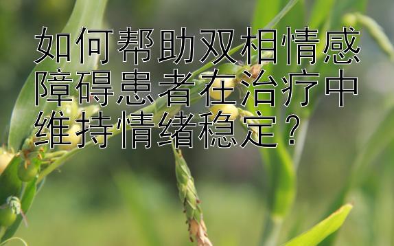 如何帮助双相情感障碍患者在治疗中维持情绪稳定？