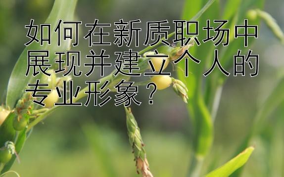 如何在新质职场中展现并建立个人的专业形象？