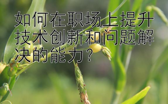 如何在职场上提升技术创新和问题解决的能力？