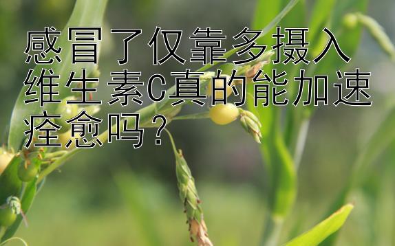 感冒了仅靠多摄入维生素C真的能加速痊愈吗？